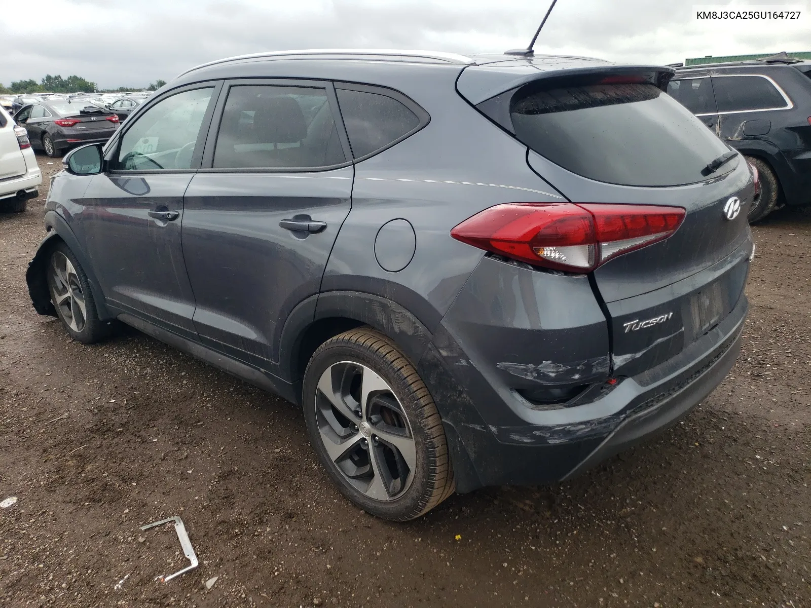 2016 Hyundai Tucson Limited VIN: KM8J3CA25GU164727 Lot: 64784824