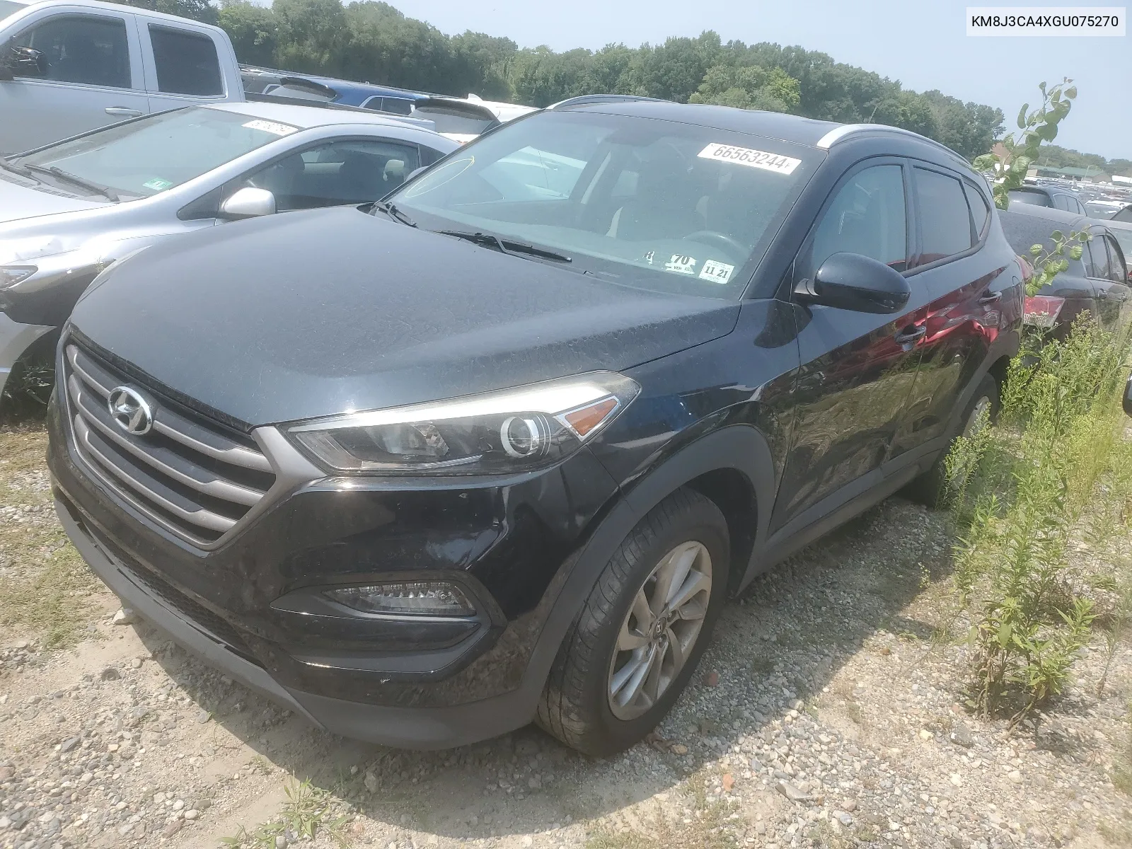 2016 Hyundai Tucson Limited VIN: KM8J3CA4XGU075270 Lot: 66563244