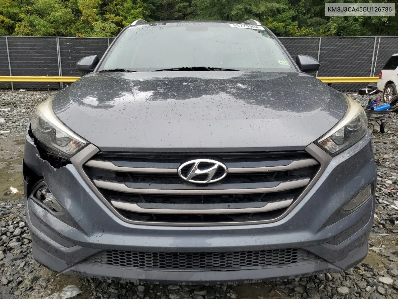 2016 Hyundai Tucson Limited VIN: KM8J3CA45GU126786 Lot: 66729904