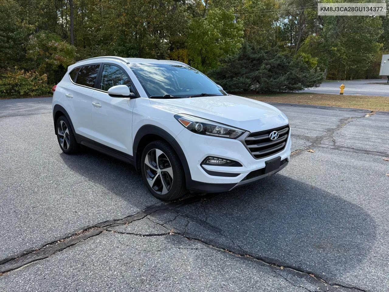 2016 Hyundai Tucson Limited VIN: KM8J3CA28GU134377 Lot: 75845564