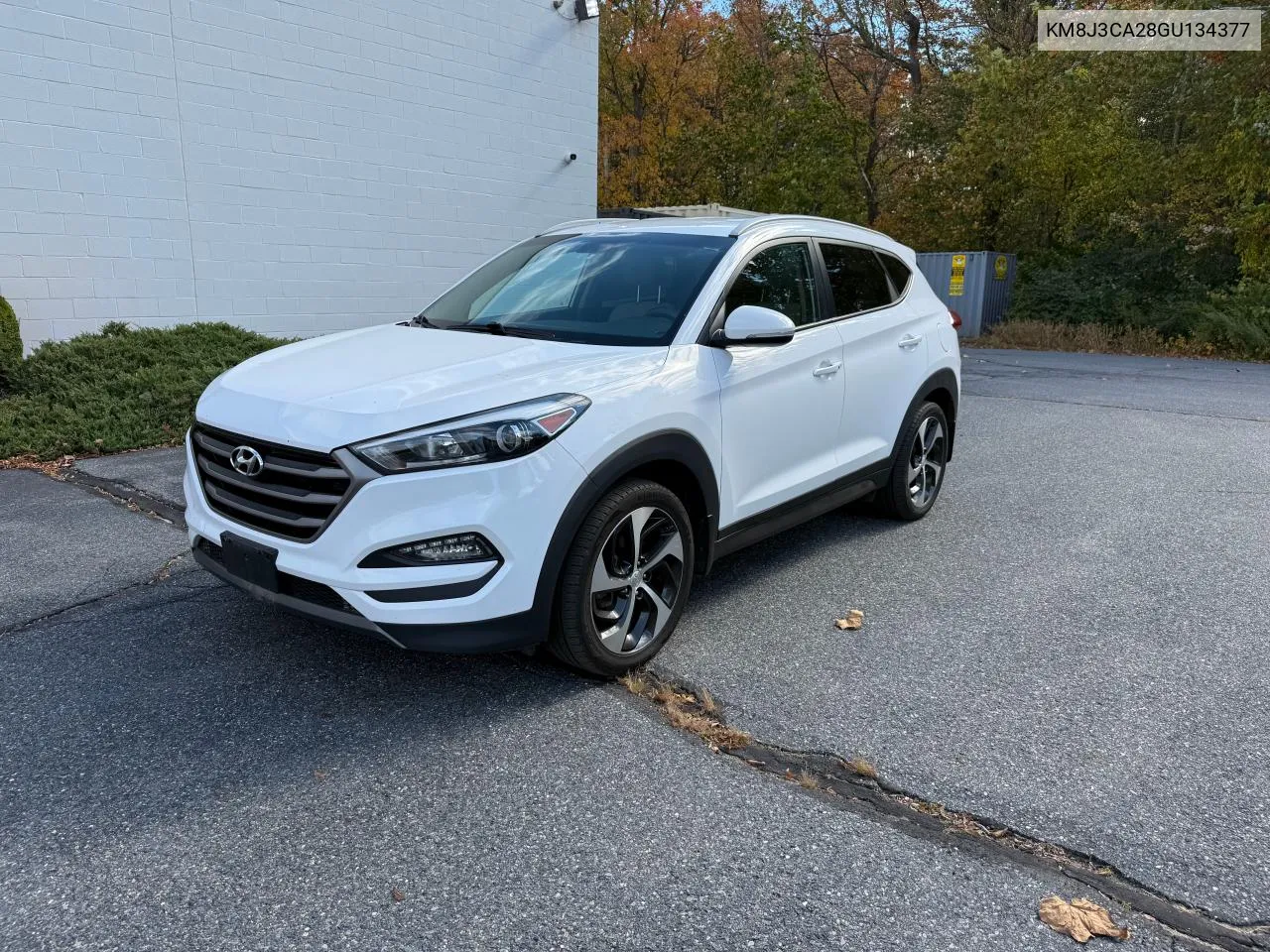 2016 Hyundai Tucson Limited VIN: KM8J3CA28GU134377 Lot: 75845564