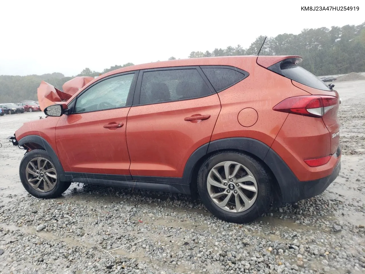 2017 Hyundai Tucson Se VIN: KM8J23A47HU254919 Lot: 73222834