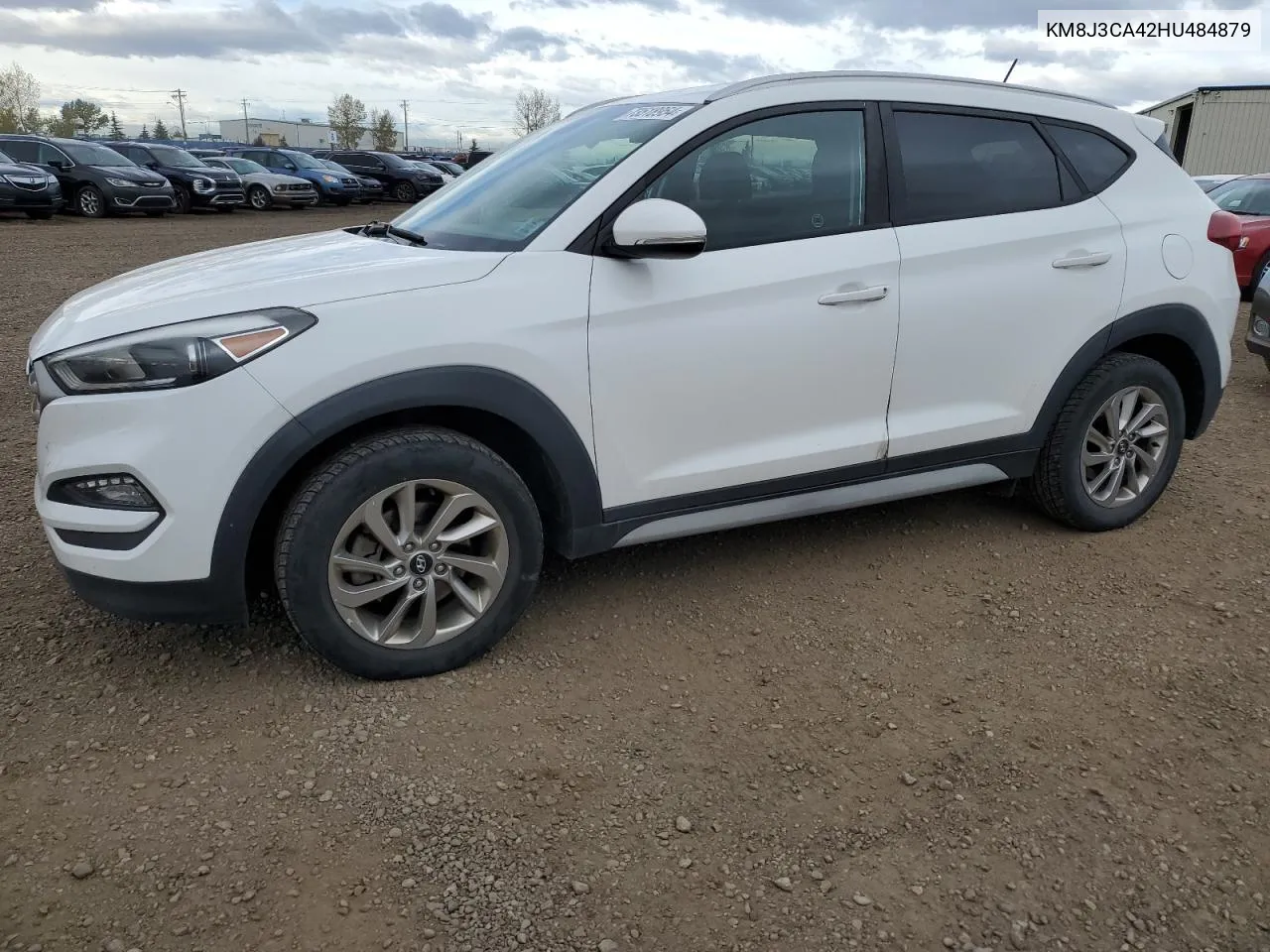 2017 Hyundai Tucson Limited VIN: KM8J3CA42HU484879 Lot: 73518954