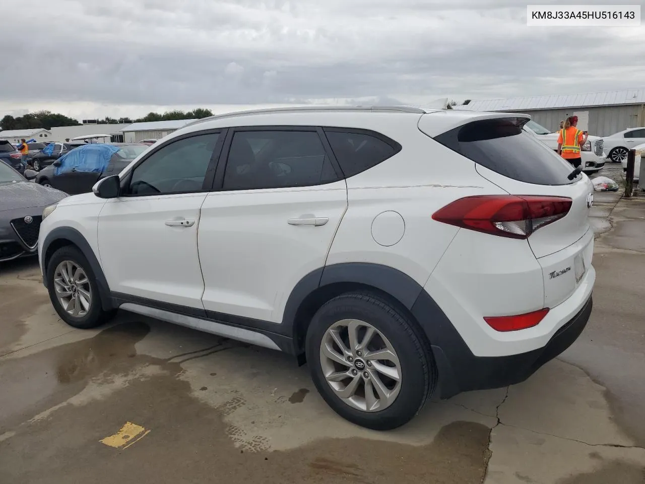 2017 Hyundai Tucson Limited VIN: KM8J33A45HU516143 Lot: 74839124