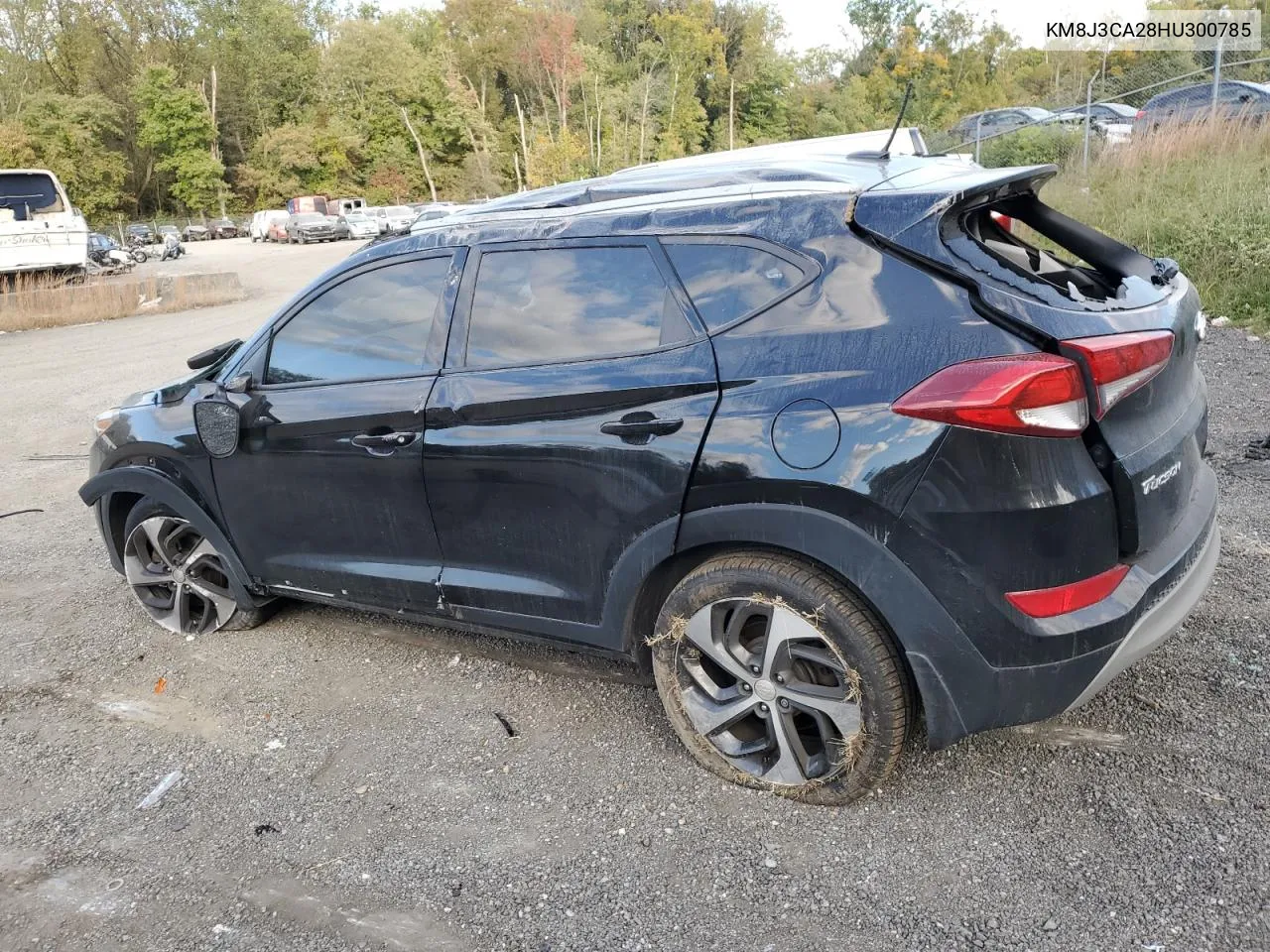 2017 Hyundai Tucson Limited VIN: KM8J3CA28HU300785 Lot: 76488834