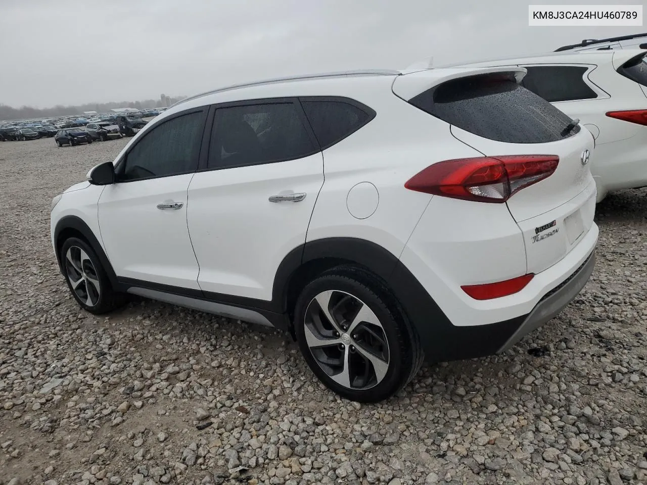 2017 Hyundai Tucson Limited VIN: KM8J3CA24HU460789 Lot: 78846054