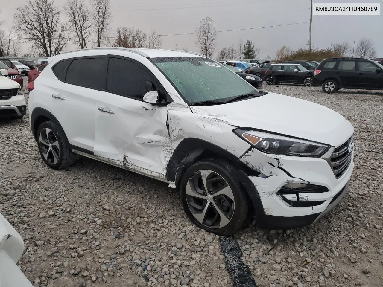 2017 Hyundai Tucson Limited VIN: KM8J3CA24HU460789 Lot: 78846054