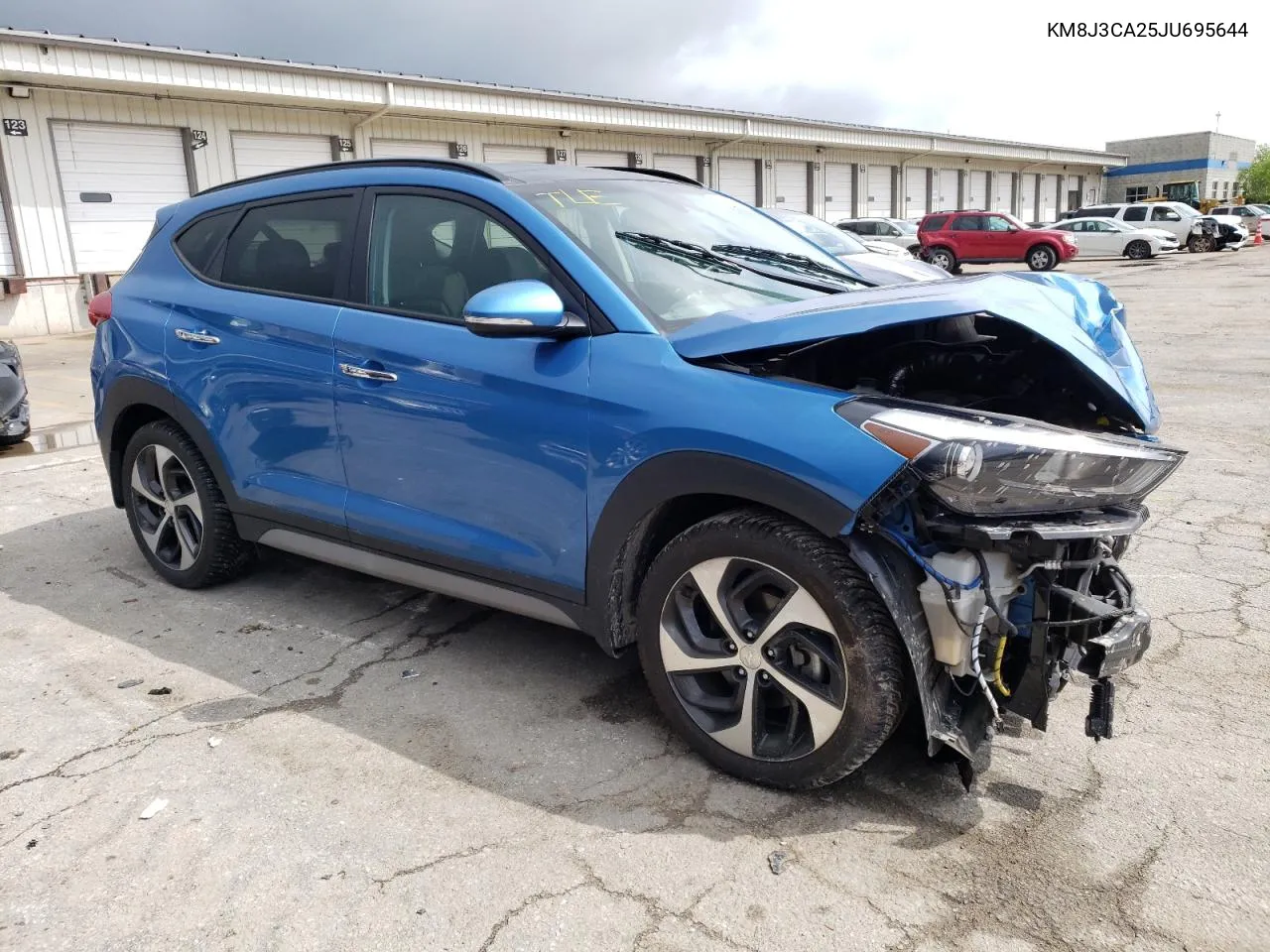 2018 Hyundai Tucson Value VIN: KM8J3CA25JU695644 Lot: 54892344