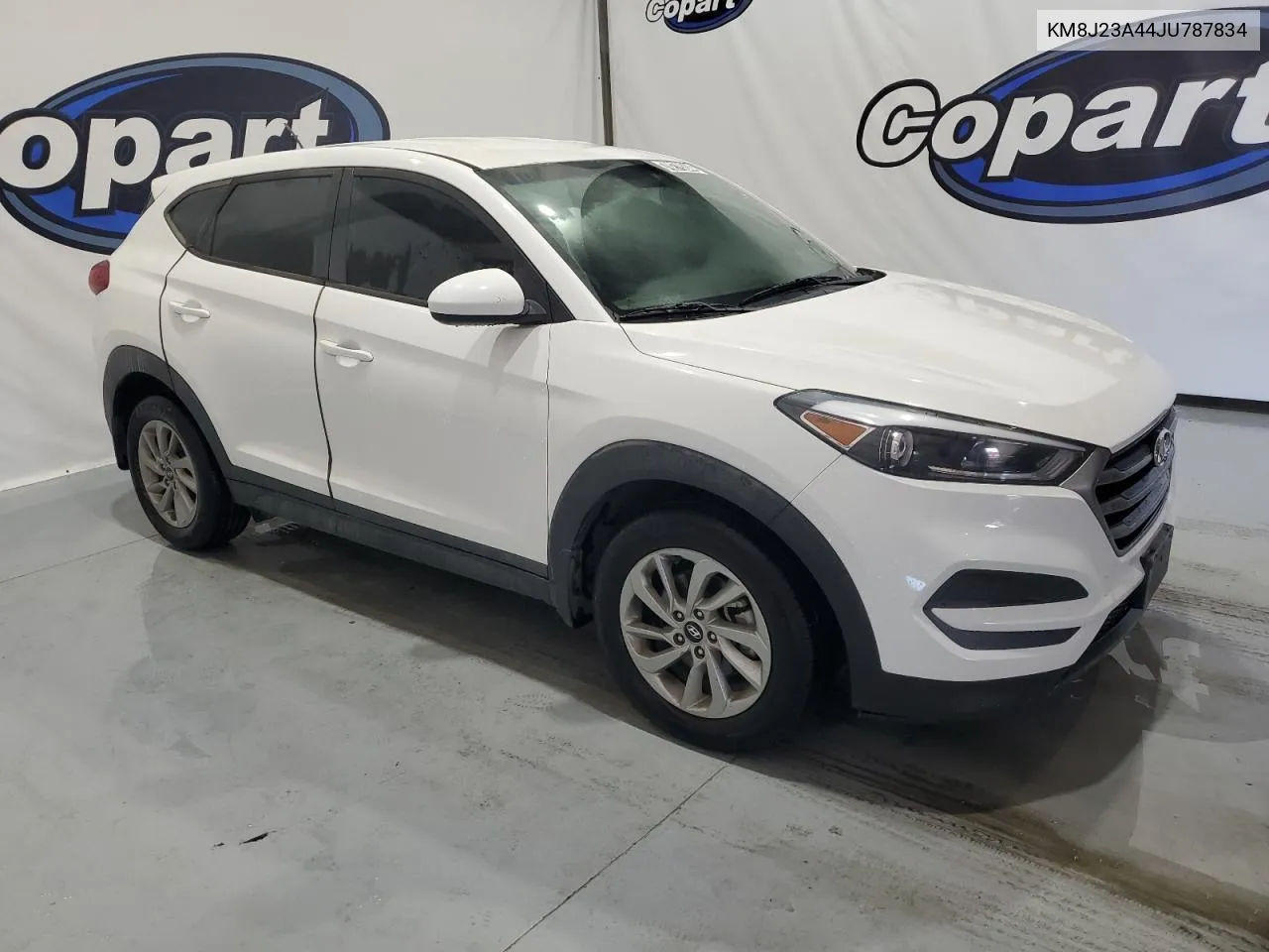 2018 Hyundai Tucson Se VIN: KM8J23A44JU787834 Lot: 70279244