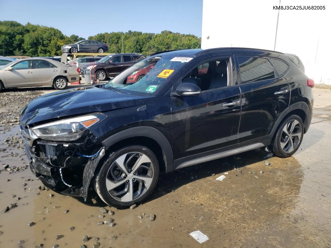 2018 Hyundai Tucson Value VIN: KM8J3CA25JU682005 Lot: 70751854