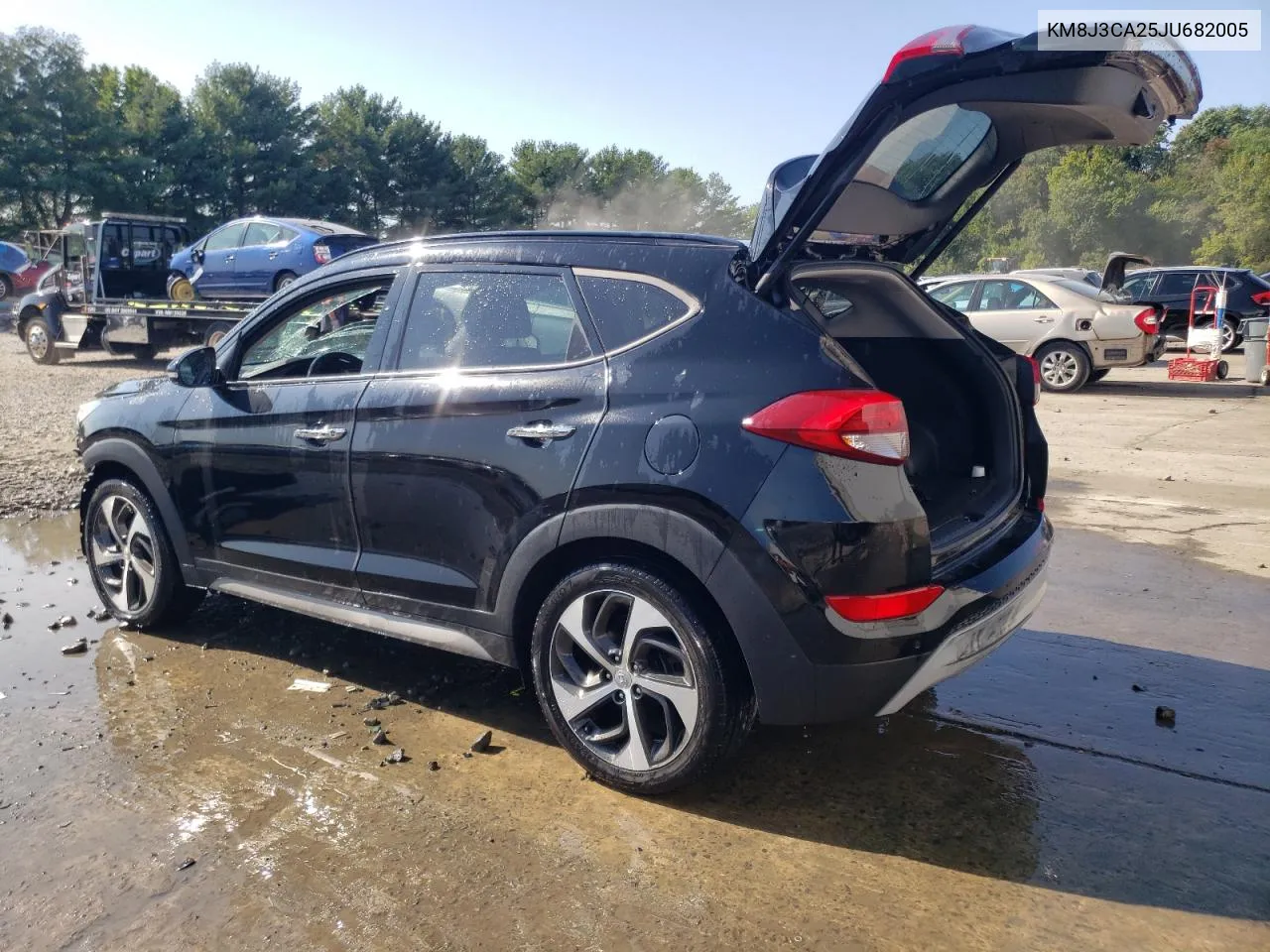 2018 Hyundai Tucson Value VIN: KM8J3CA25JU682005 Lot: 70751854