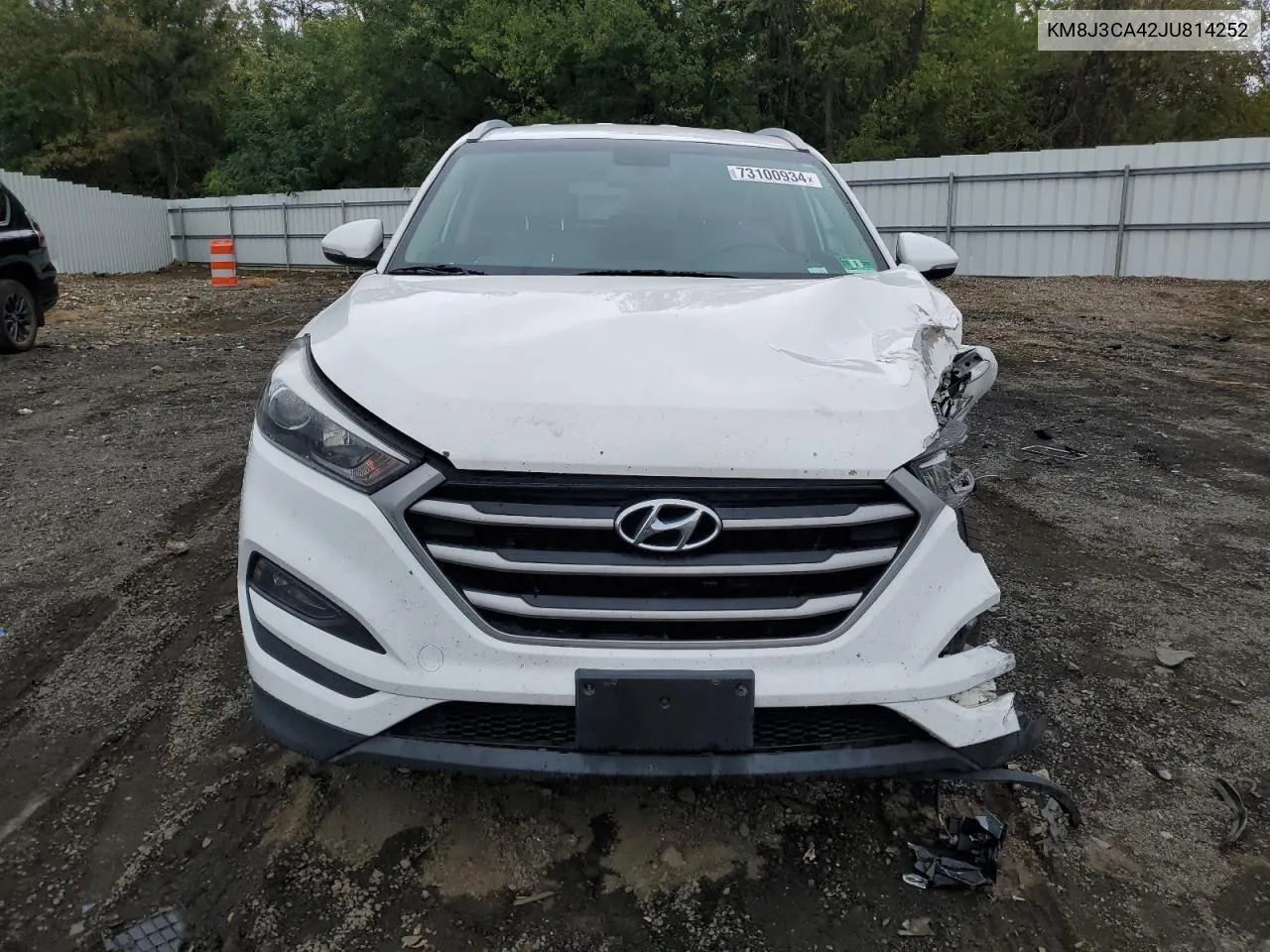 2018 Hyundai Tucson Sel VIN: KM8J3CA42JU814252 Lot: 73100934