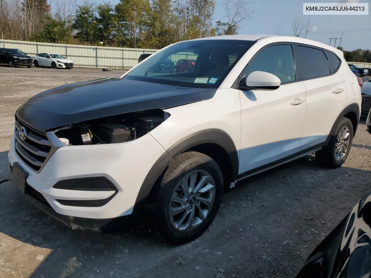 2018 Hyundai Tucson Se VIN: KM8J2CA43JU644213 Lot: 75489304