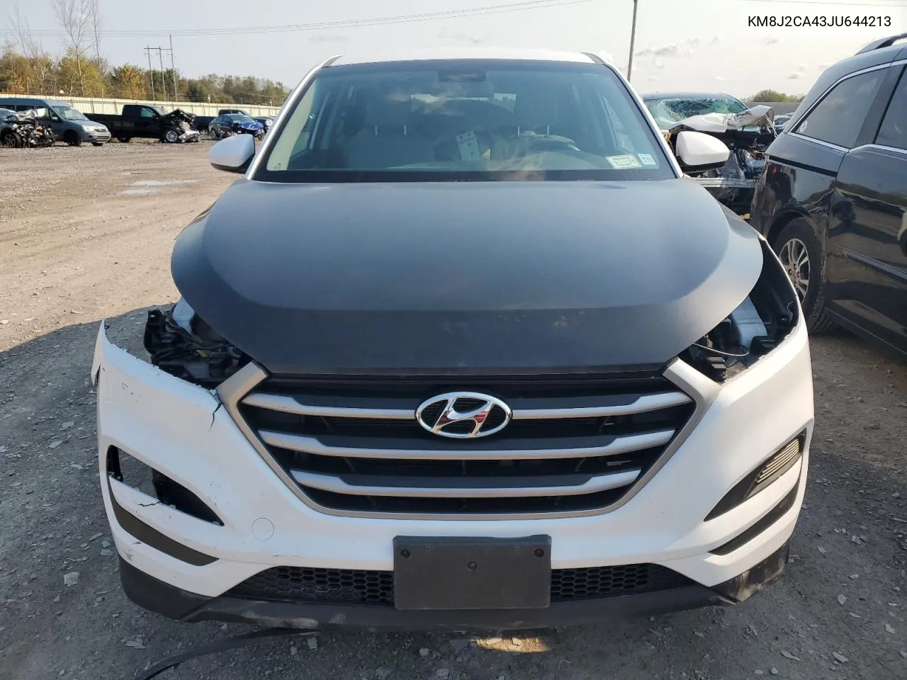 2018 Hyundai Tucson Se VIN: KM8J2CA43JU644213 Lot: 75489304