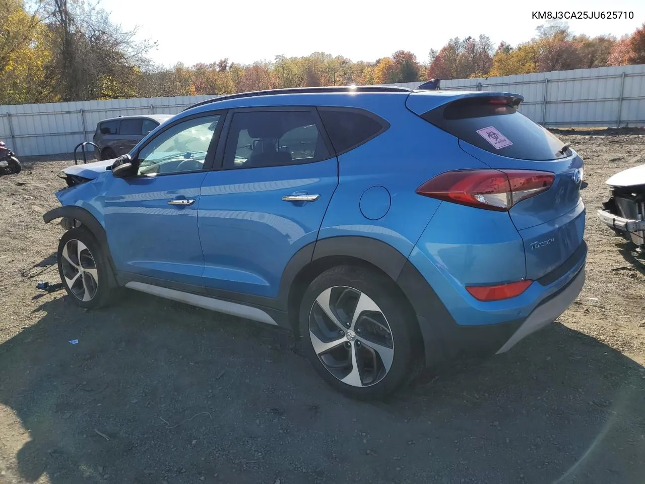 2018 Hyundai Tucson Value VIN: KM8J3CA25JU625710 Lot: 76446084