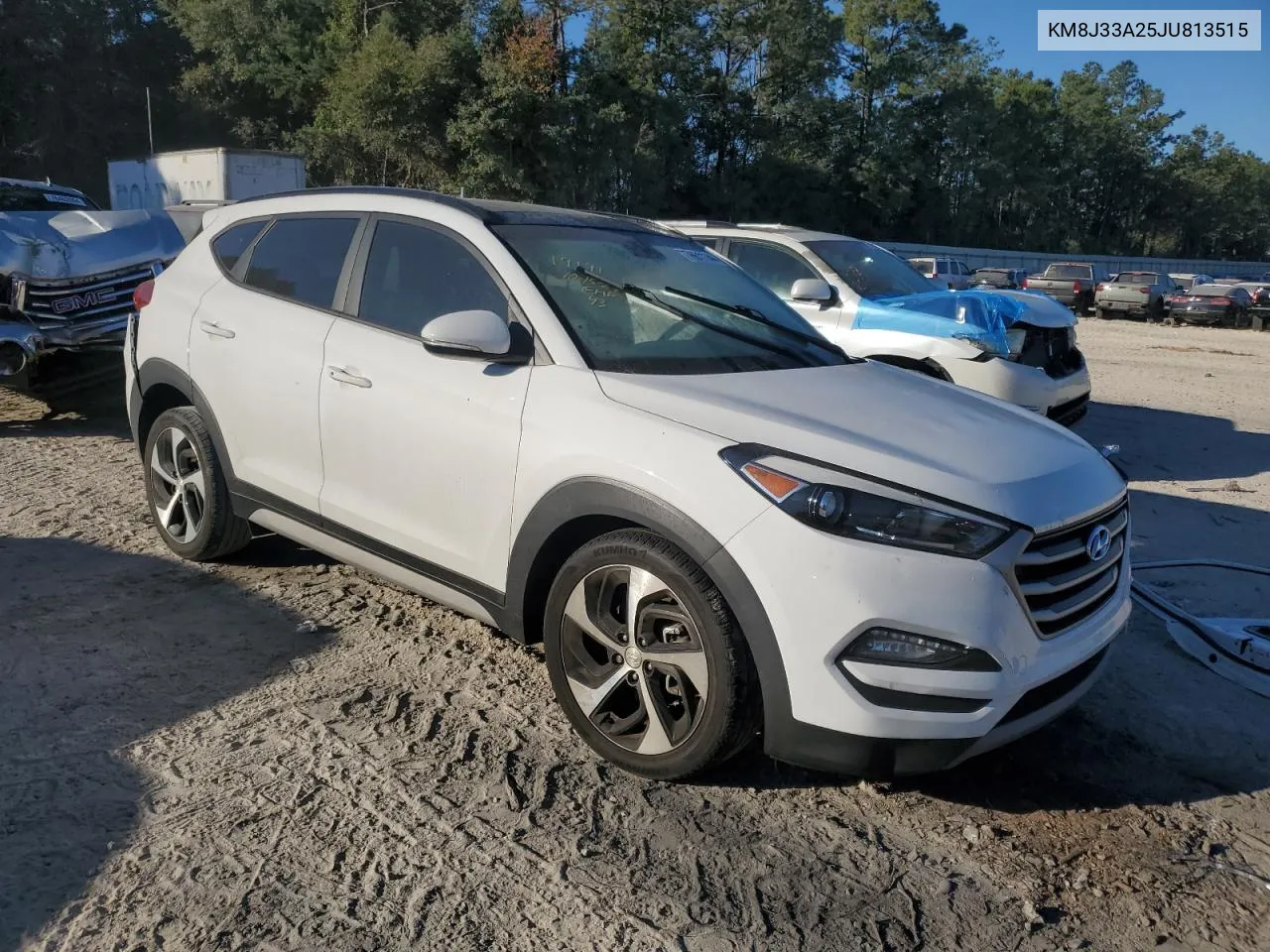 2018 Hyundai Tucson Value VIN: KM8J33A25JU813515 Lot: 76611144