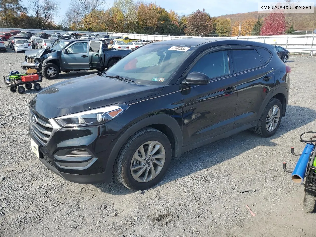 2018 Hyundai Tucson Se VIN: KM8J2CA4XJU824384 Lot: 77896634