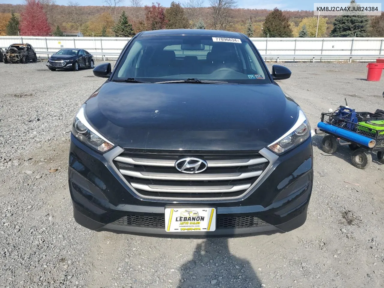 2018 Hyundai Tucson Se VIN: KM8J2CA4XJU824384 Lot: 77896634