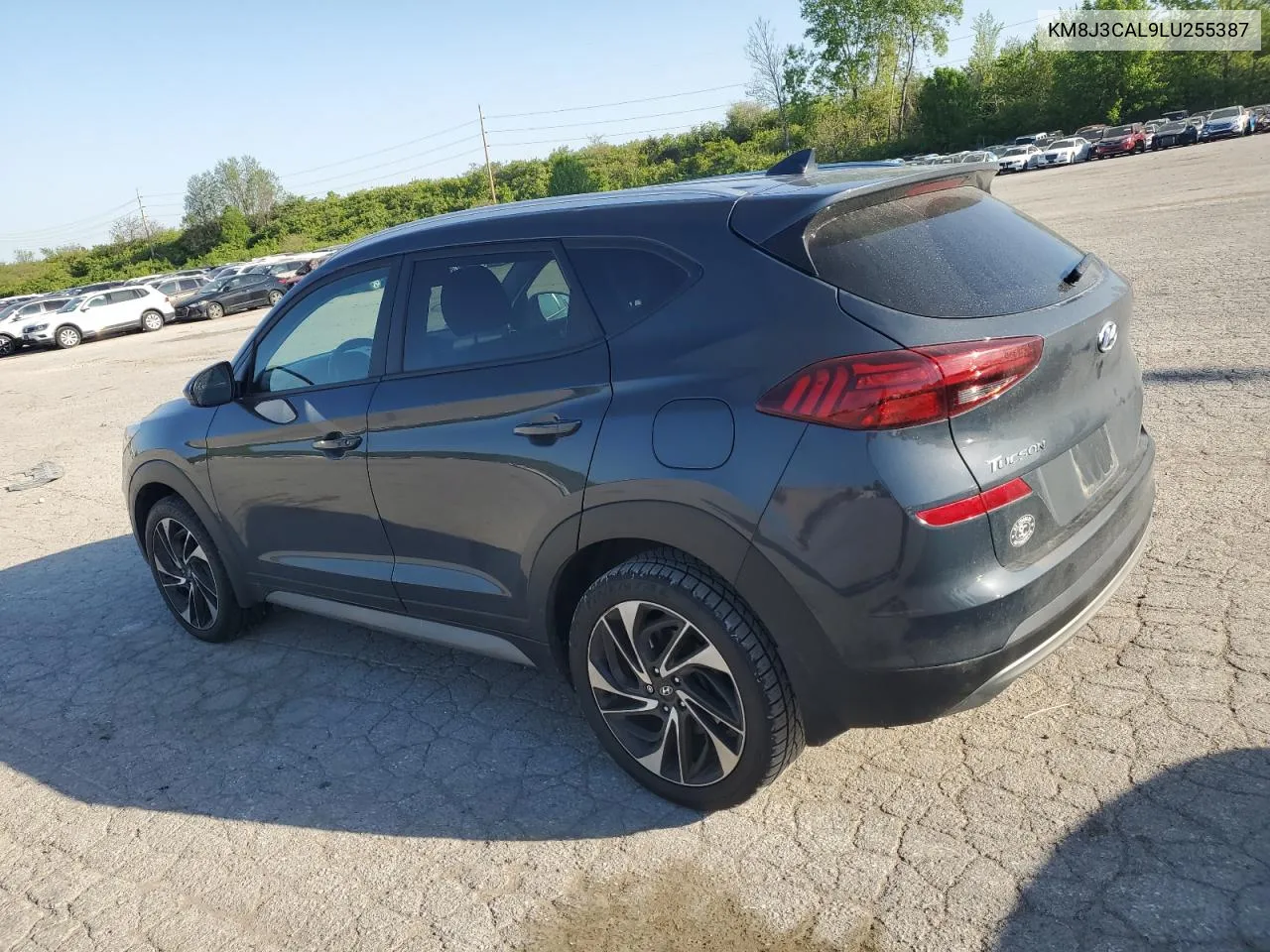 KM8J3CAL9LU255387 2020 Hyundai Tucson Limited