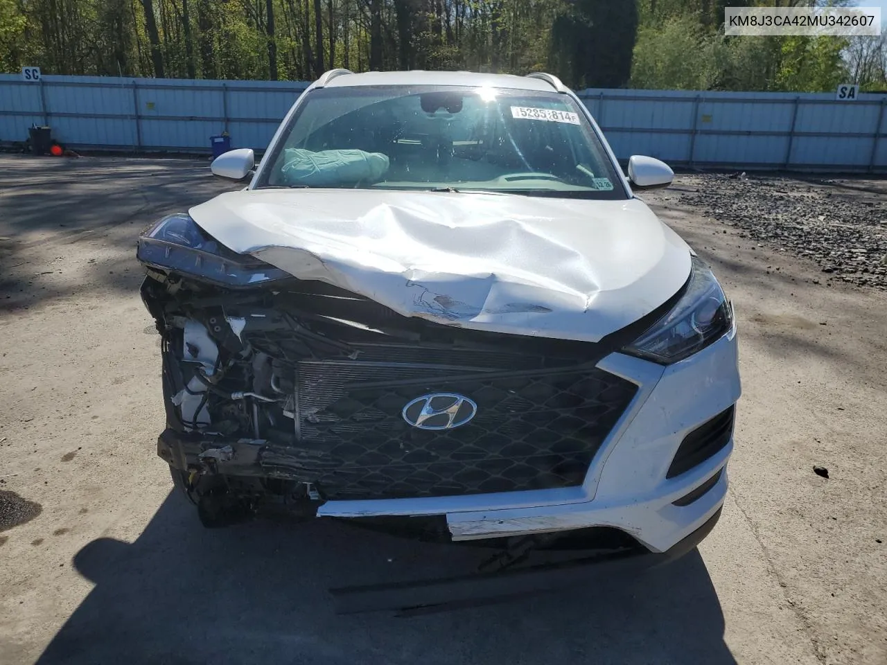 2021 Hyundai Tucson Limited VIN: KM8J3CA42MU342607 Lot: 52851814