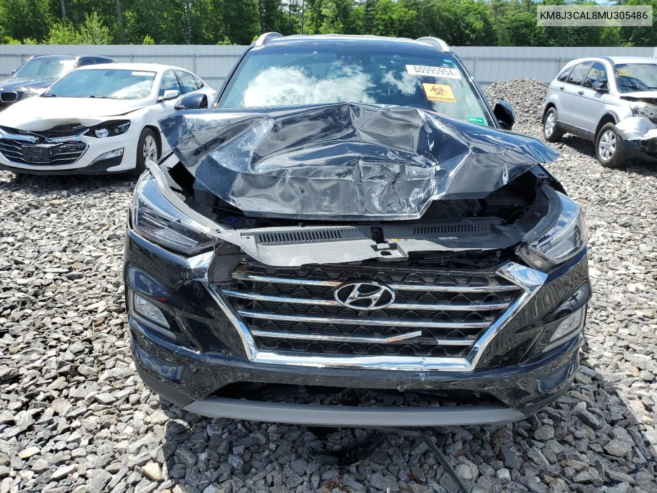 2021 Hyundai Tucson Limited VIN: KM8J3CAL8MU305486 Lot: 60995954