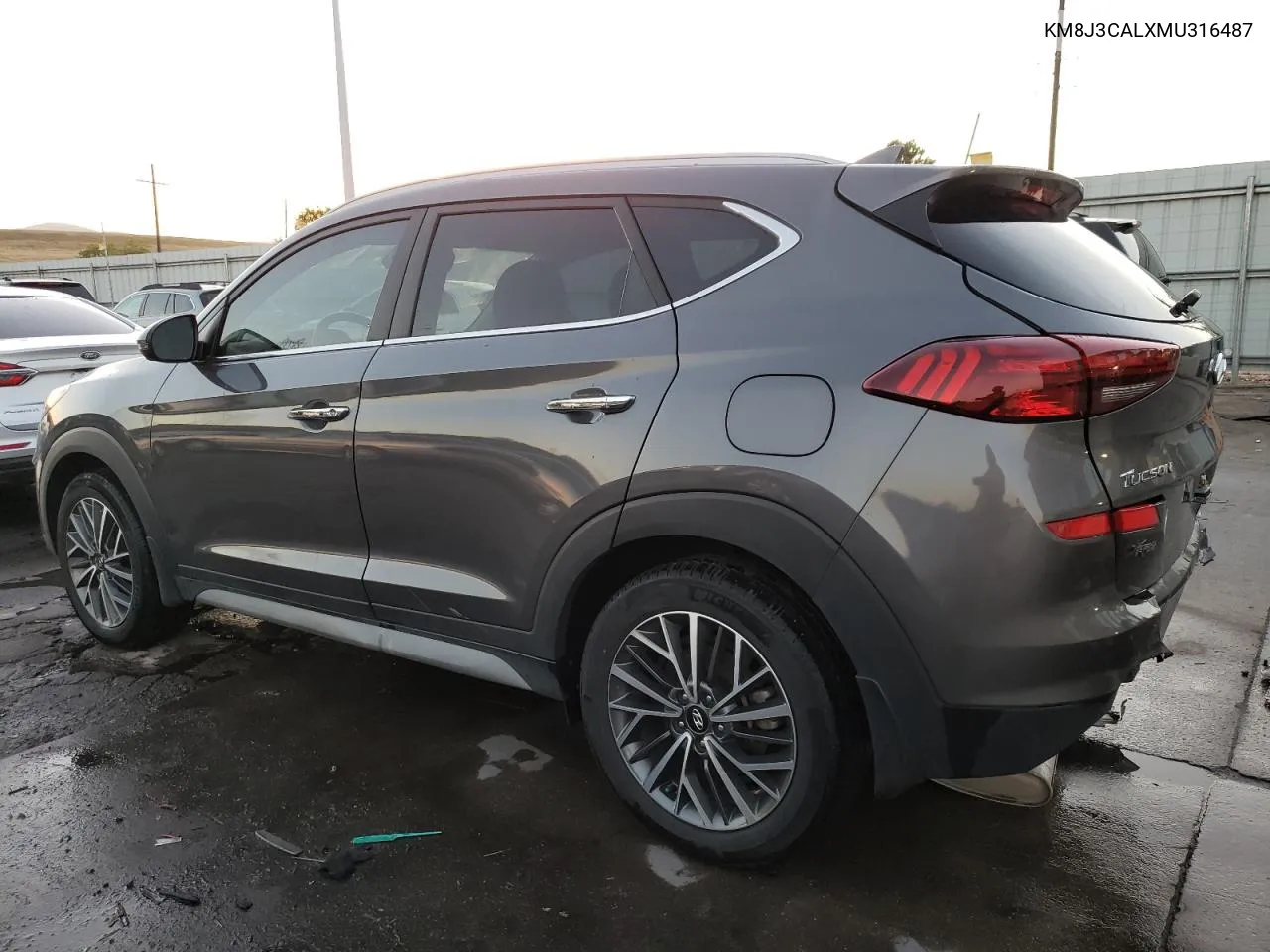 2021 Hyundai Tucson Limited VIN: KM8J3CALXMU316487 Lot: 73582734