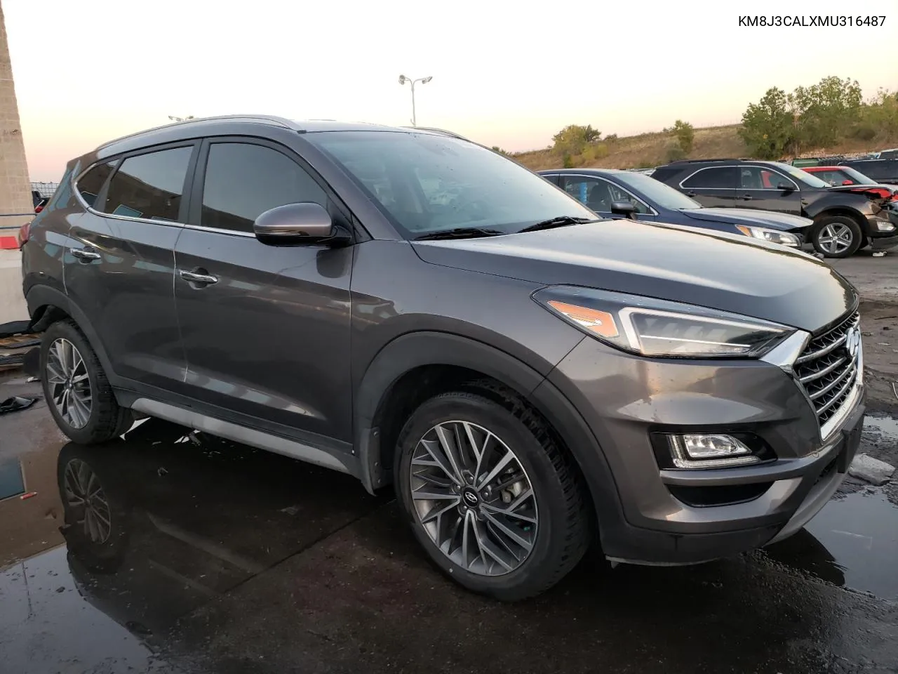 2021 Hyundai Tucson Limited VIN: KM8J3CALXMU316487 Lot: 73582734