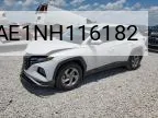 2022 Hyundai Tucson Se VIN: 5NMJA3AE1NH116182 Lot: 62364584