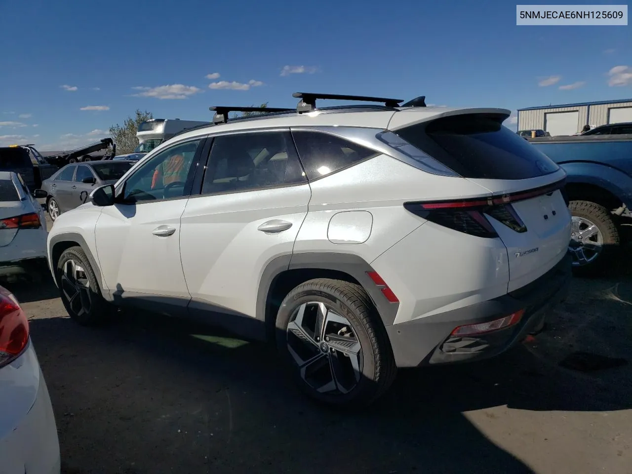 2022 Hyundai Tucson Limited VIN: 5NMJECAE6NH125609 Lot: 73464014