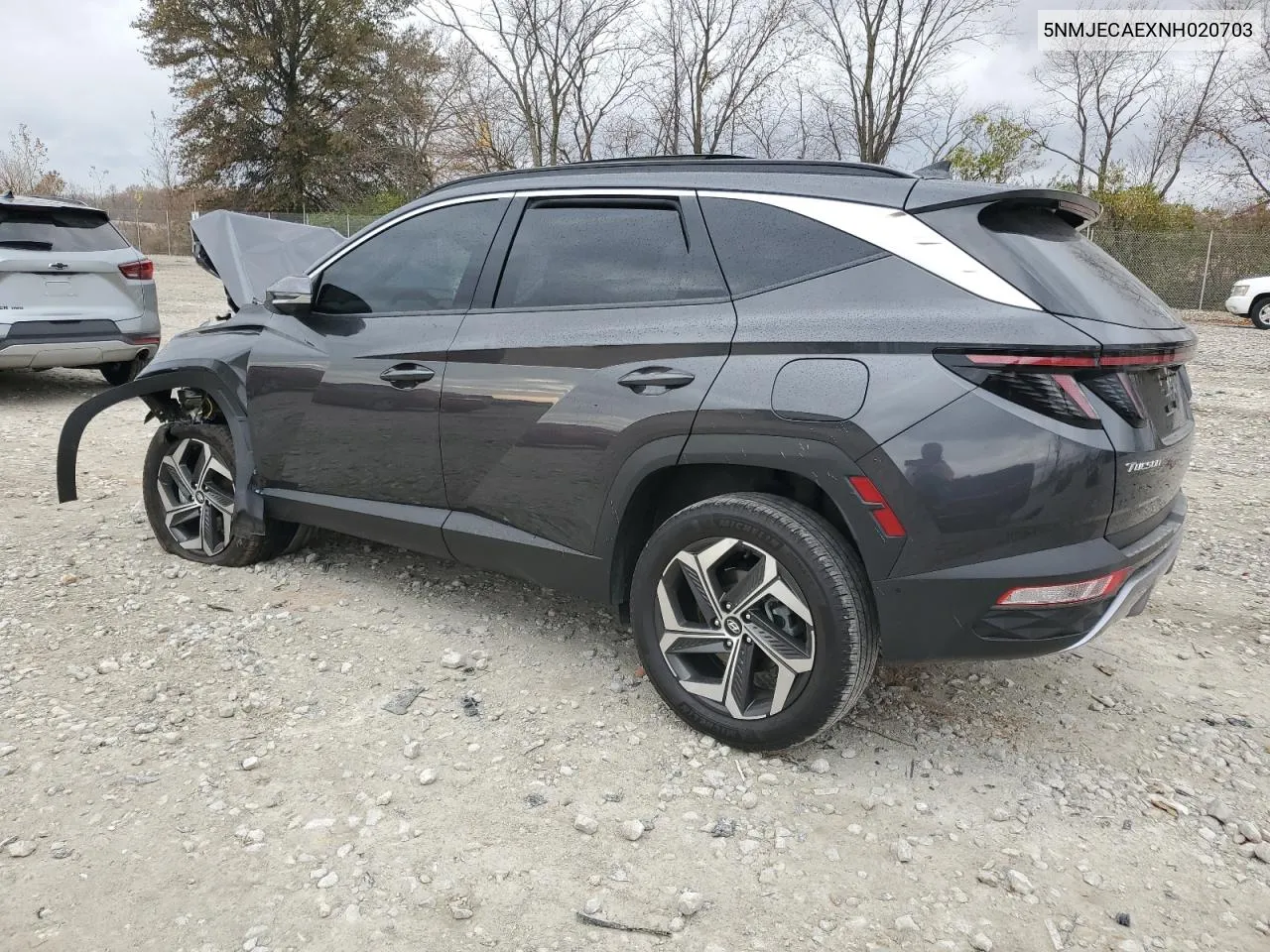 2022 Hyundai Tucson Limited VIN: 5NMJECAEXNH020703 Lot: 78816334