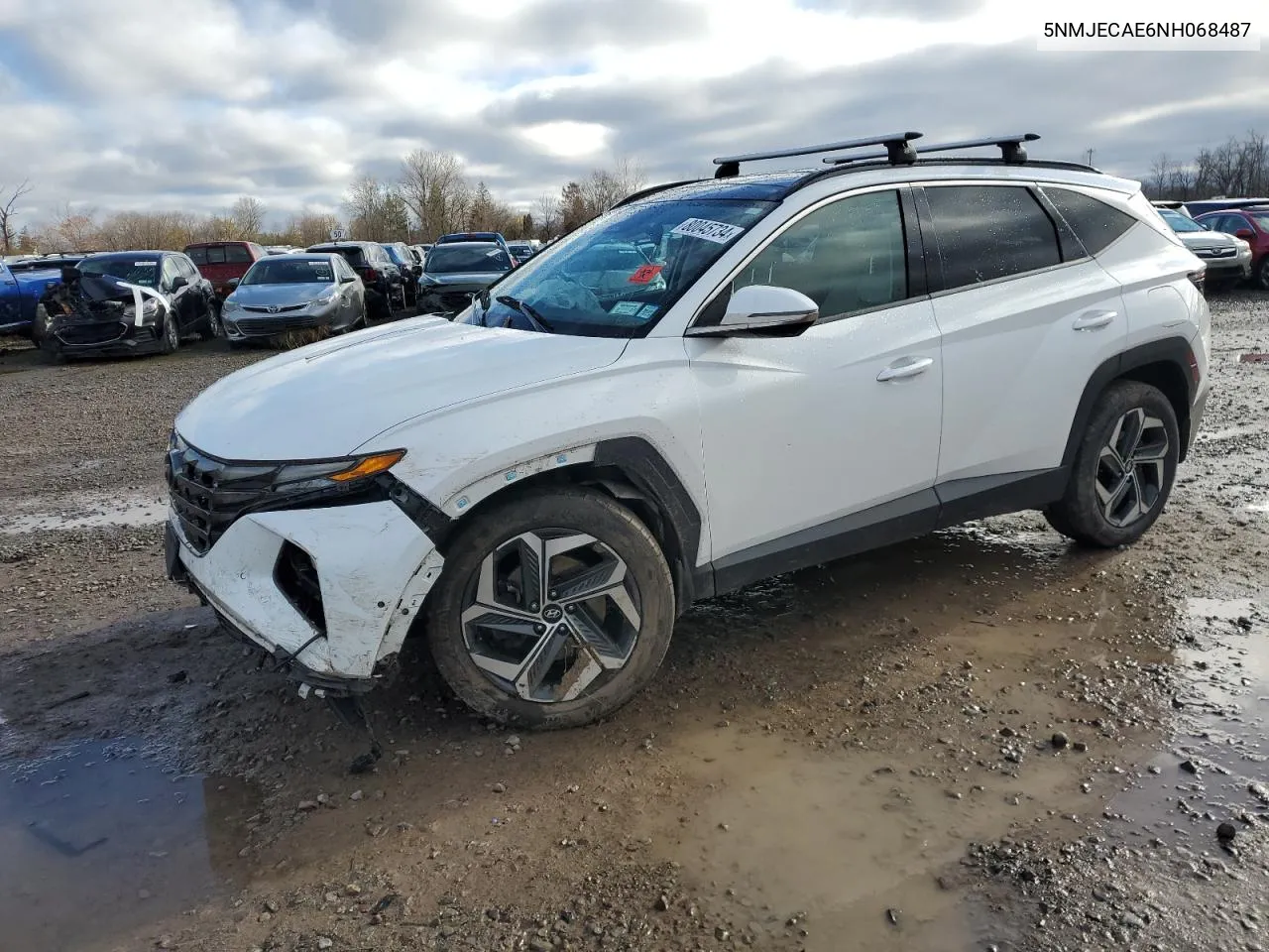 2022 Hyundai Tucson Limited VIN: 5NMJECAE6NH068487 Lot: 80045734