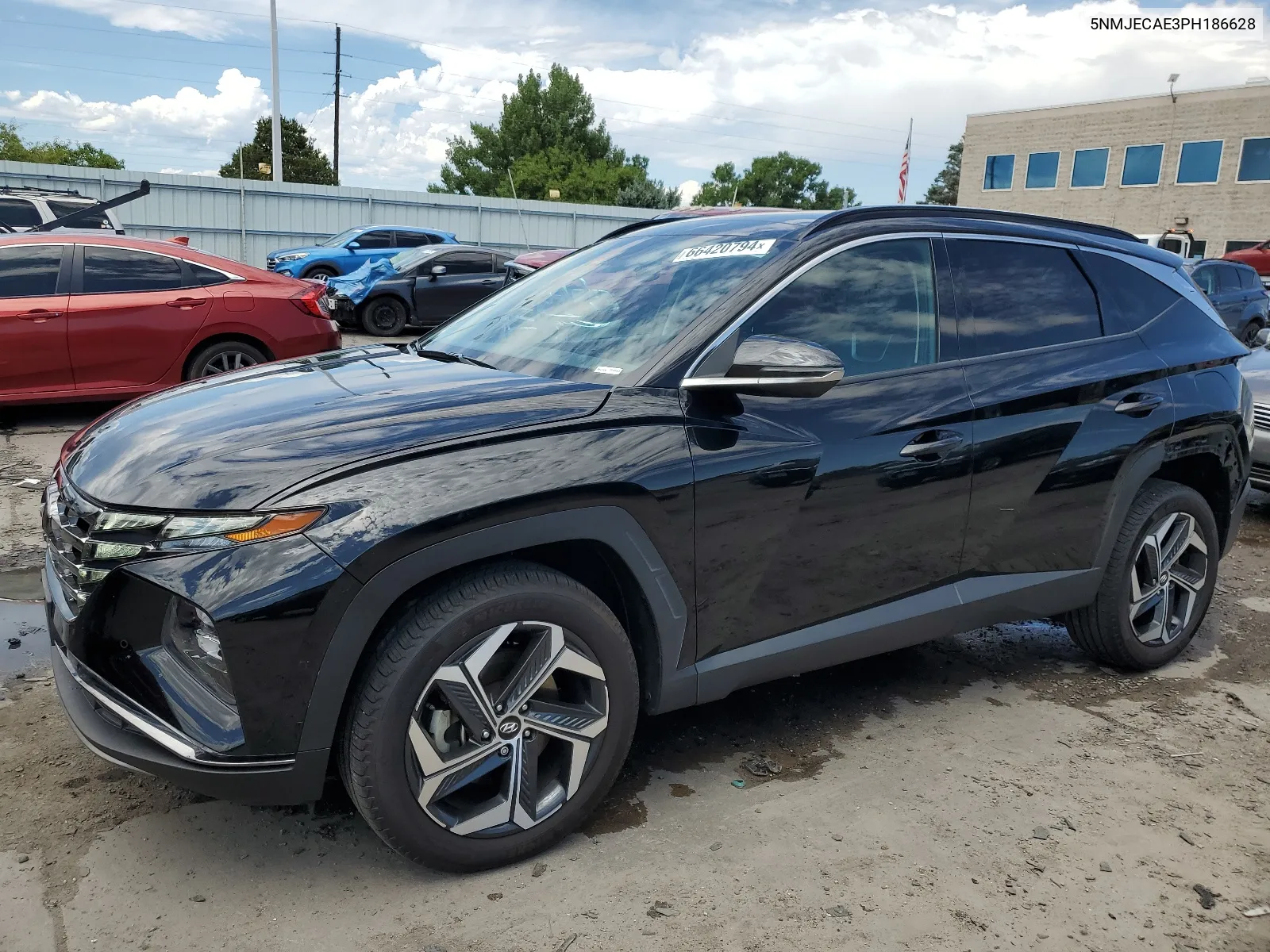 2023 Hyundai Tucson Limited VIN: 5NMJECAE3PH186628 Lot: 66420794