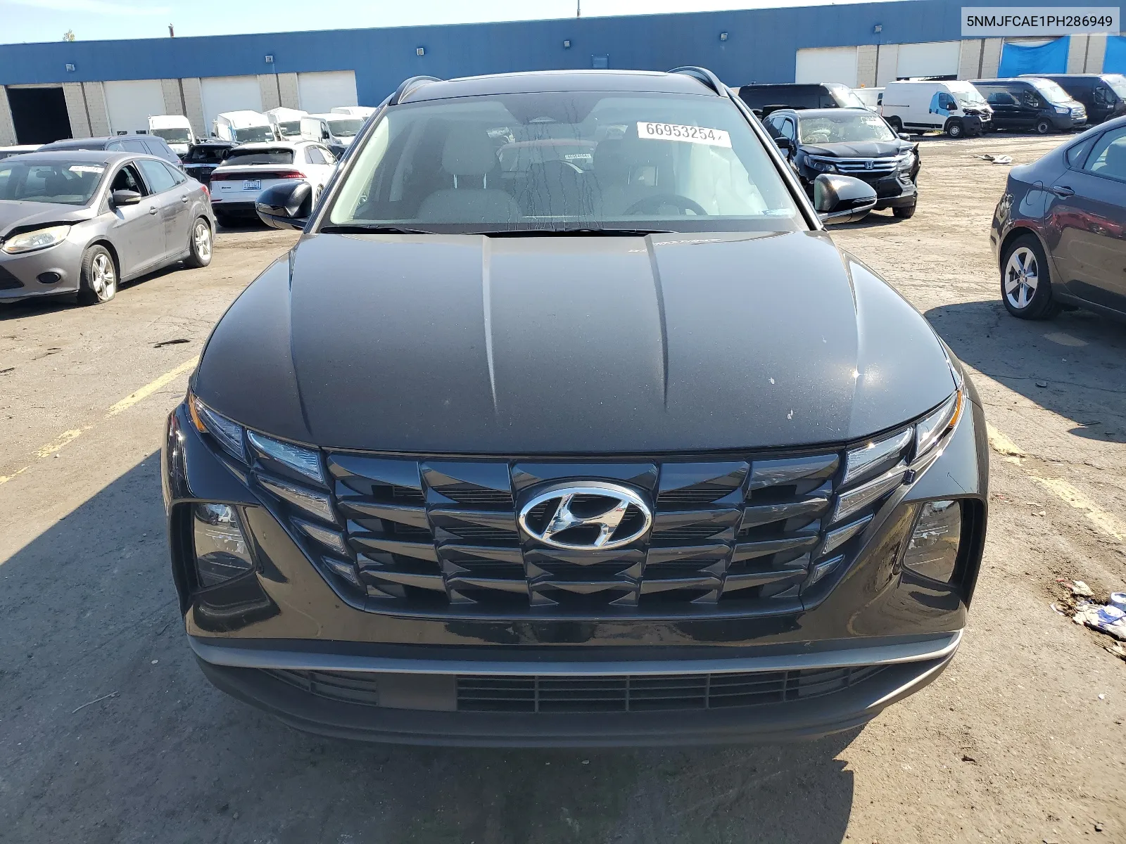 2023 Hyundai Tucson Sel VIN: 5NMJFCAE1PH286949 Lot: 66953254