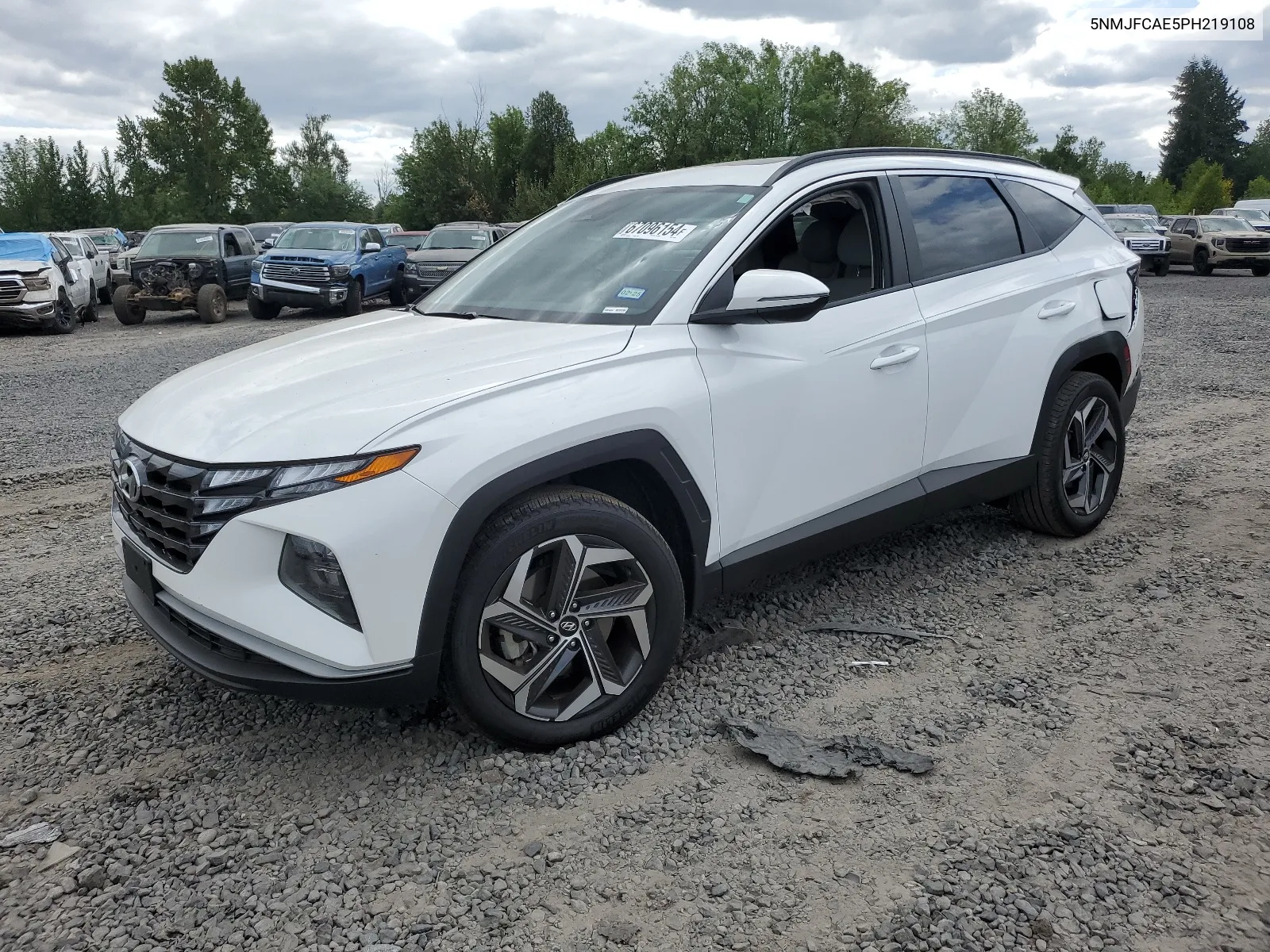 2023 Hyundai Tucson Sel VIN: 5NMJFCAE5PH219108 Lot: 67096154