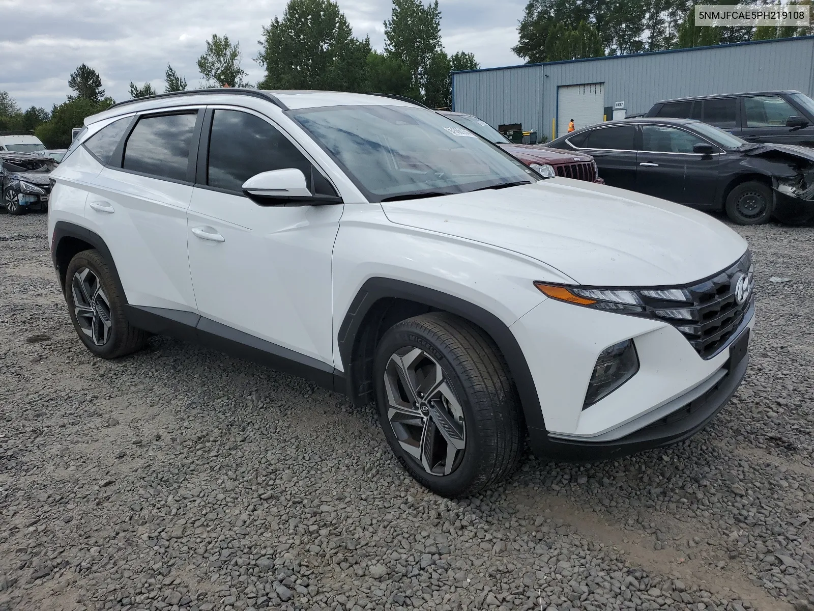 2023 Hyundai Tucson Sel VIN: 5NMJFCAE5PH219108 Lot: 67096154