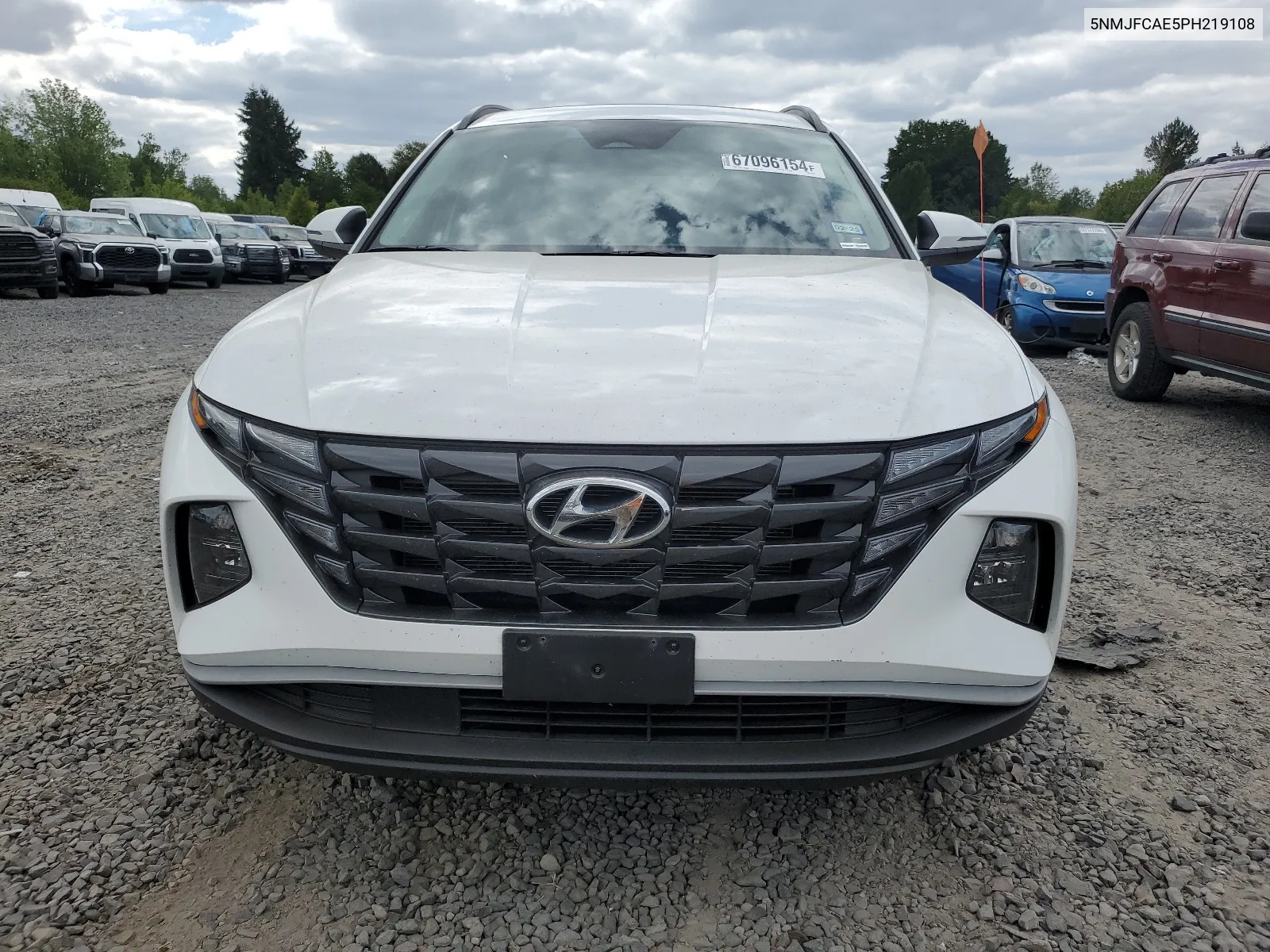 2023 Hyundai Tucson Sel VIN: 5NMJFCAE5PH219108 Lot: 67096154