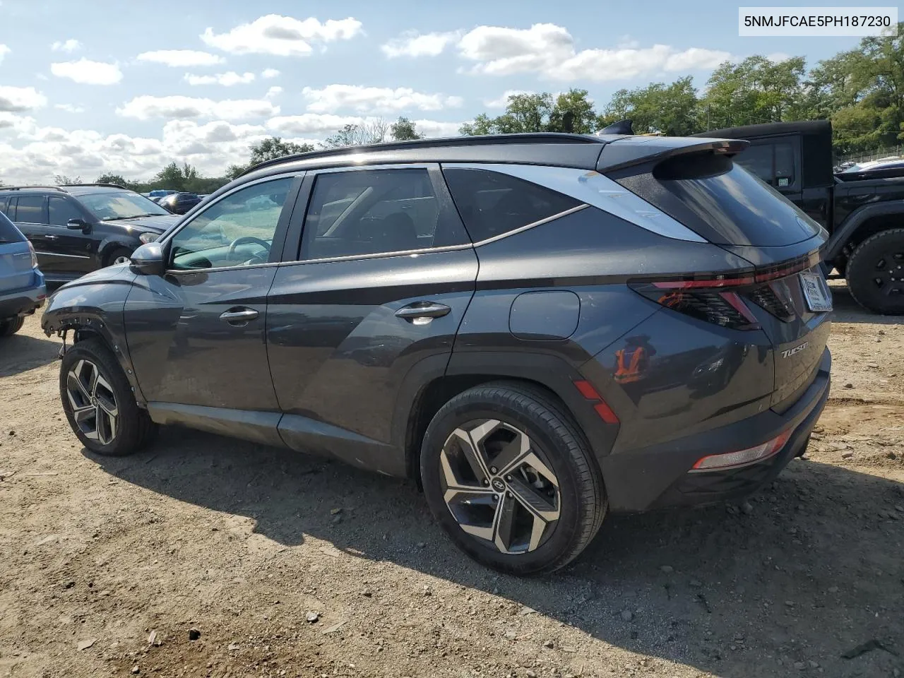 2023 Hyundai Tucson Sel VIN: 5NMJFCAE5PH187230 Lot: 69969324