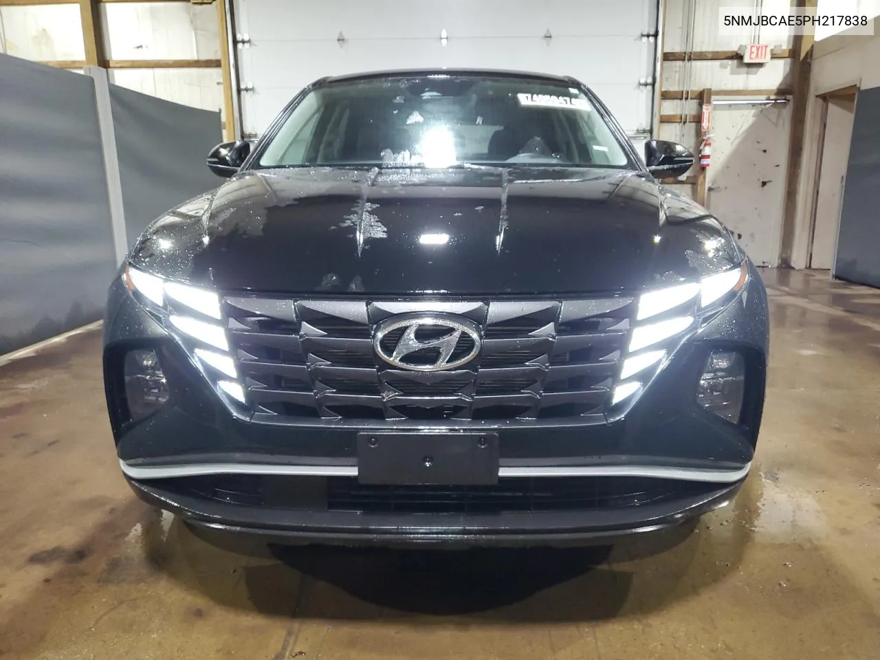 2023 Hyundai Tucson Sel VIN: 5NMJBCAE5PH217838 Lot: 74059474