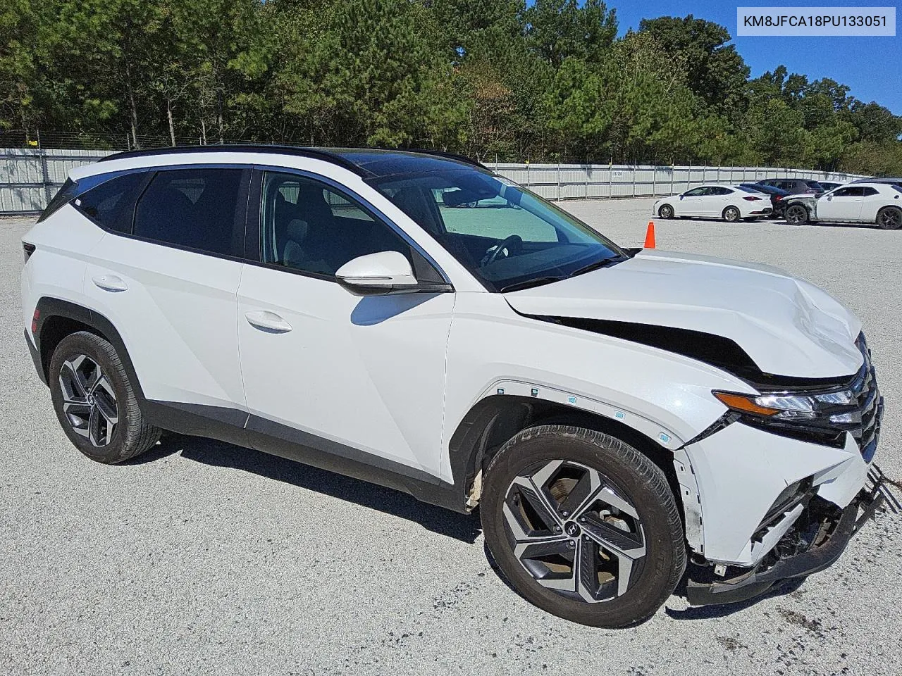 2023 Hyundai Tucson Sel Convenience VIN: KM8JFCA18PU133051 Lot: 74349174