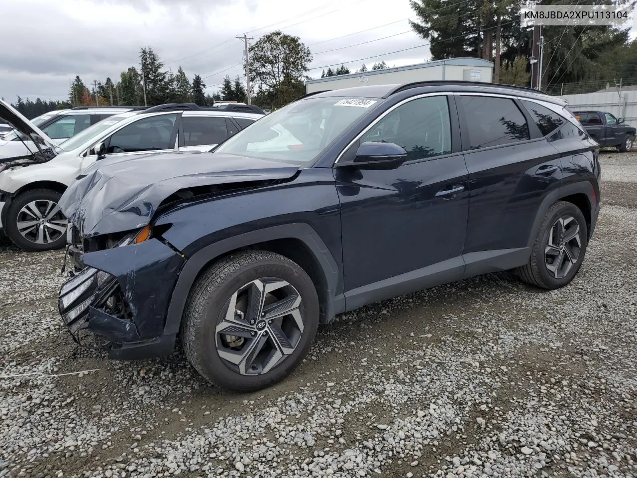 2023 Hyundai Tucson Sel VIN: KM8JBDA2XPU113104 Lot: 75421994