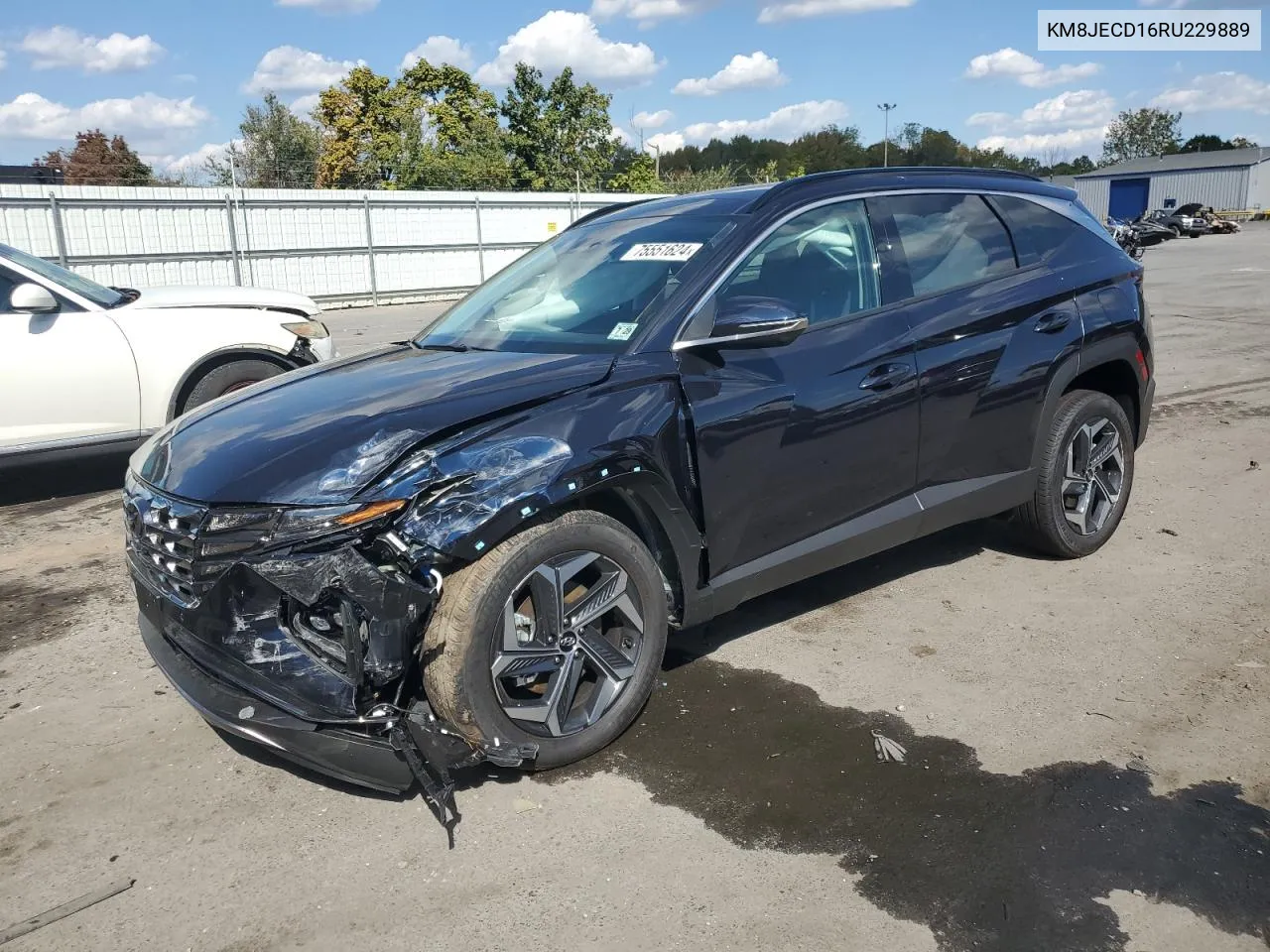 2024 Hyundai Tucson Limited VIN: KM8JECD16RU229889 Lot: 75551624