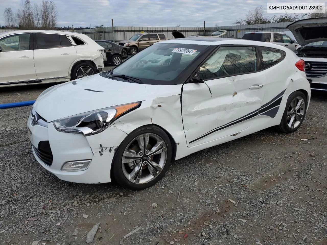 2013 Hyundai Veloster VIN: KMHTC6AD9DU123900 Lot: 79906394