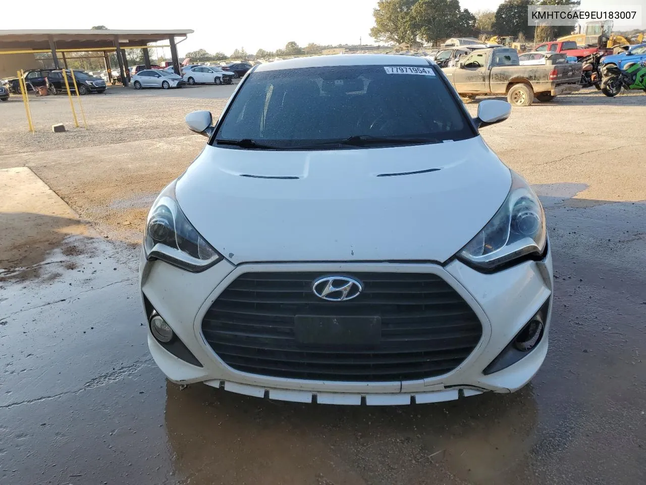 2014 Hyundai Veloster Turbo VIN: KMHTC6AE9EU183007 Lot: 77971954