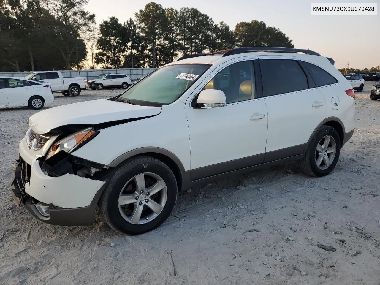 2009 Hyundai Veracruz Gls VIN: KM8NU73CX9U079428 Lot: 75940504