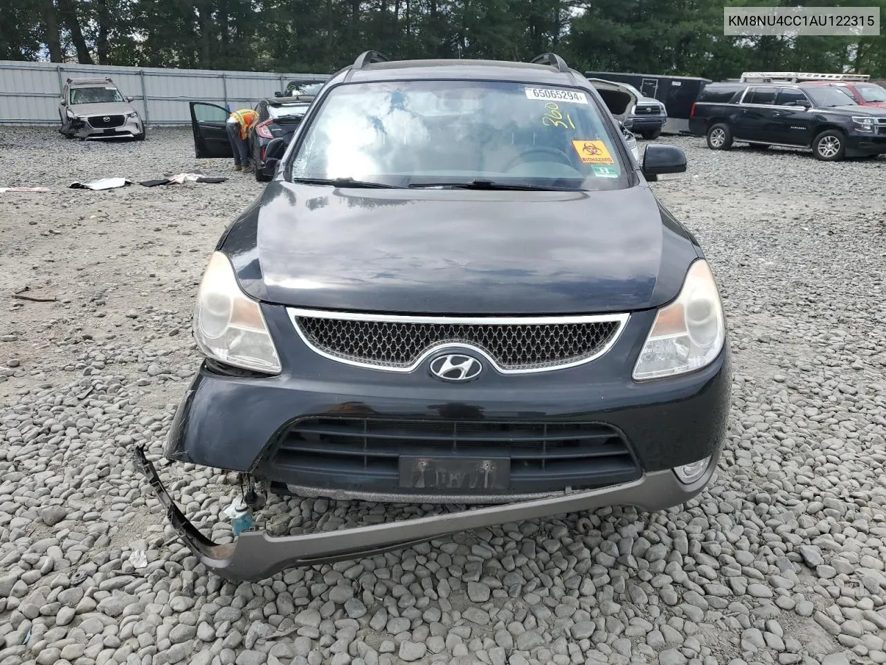 2010 Hyundai Veracruz Gls VIN: KM8NU4CC1AU122315 Lot: 75313244