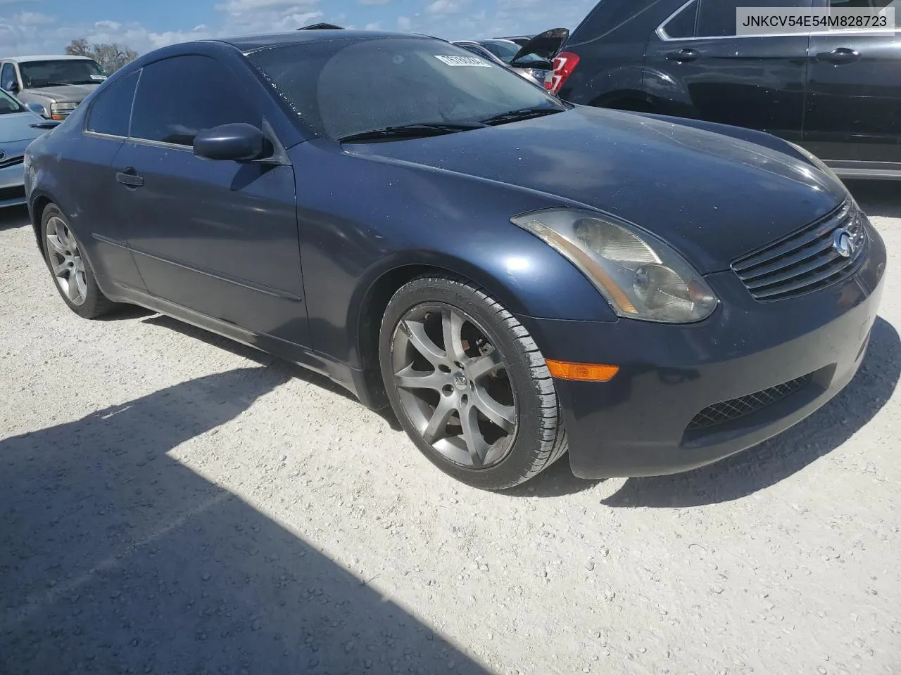 2004 Infiniti G35 VIN: JNKCV54E54M828723 Lot: 76786284