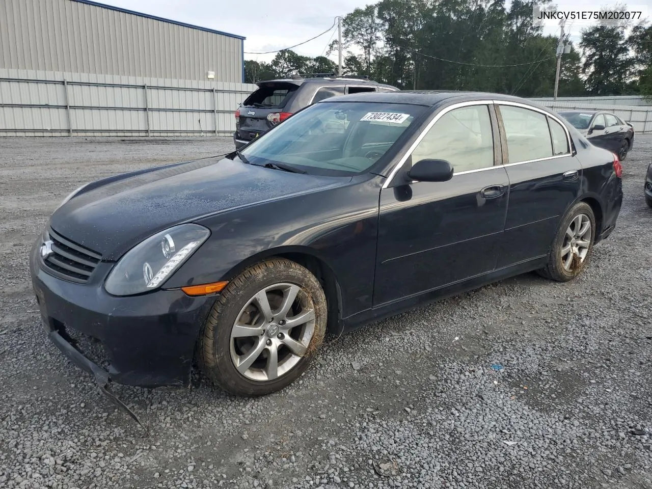 2005 Infiniti G35 VIN: JNKCV51E75M202077 Lot: 73027434