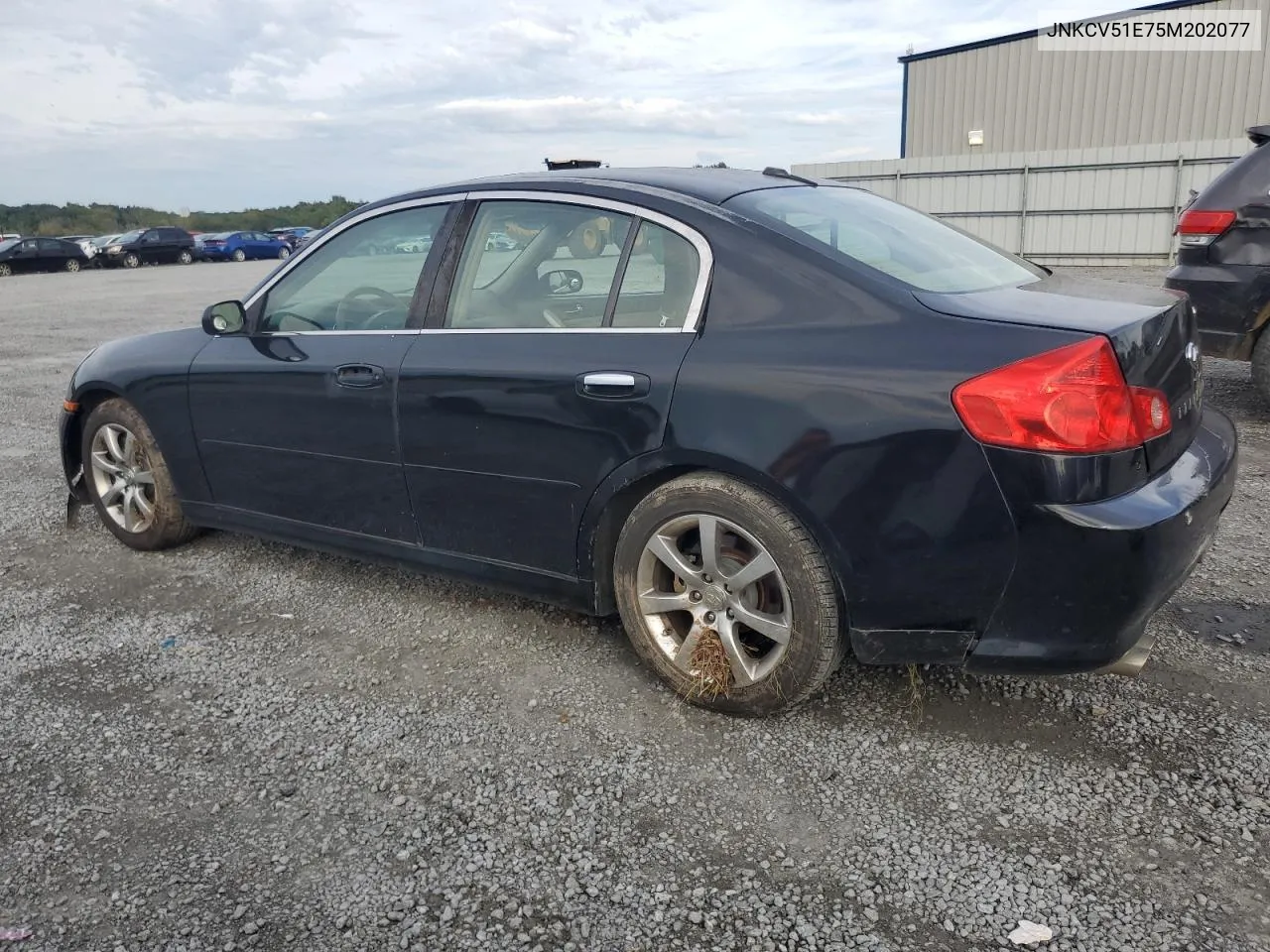 2005 Infiniti G35 VIN: JNKCV51E75M202077 Lot: 73027434