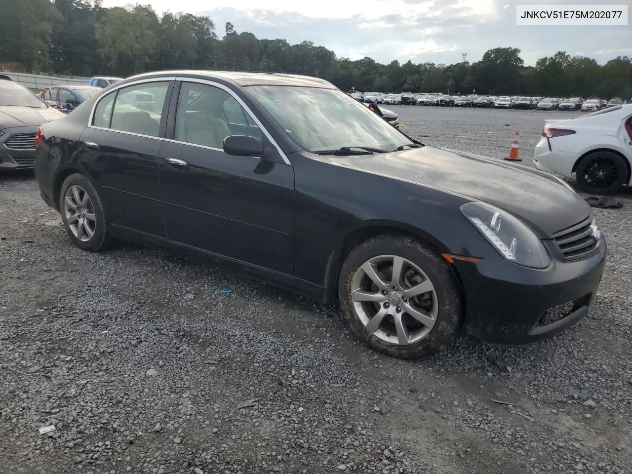 2005 Infiniti G35 VIN: JNKCV51E75M202077 Lot: 73027434