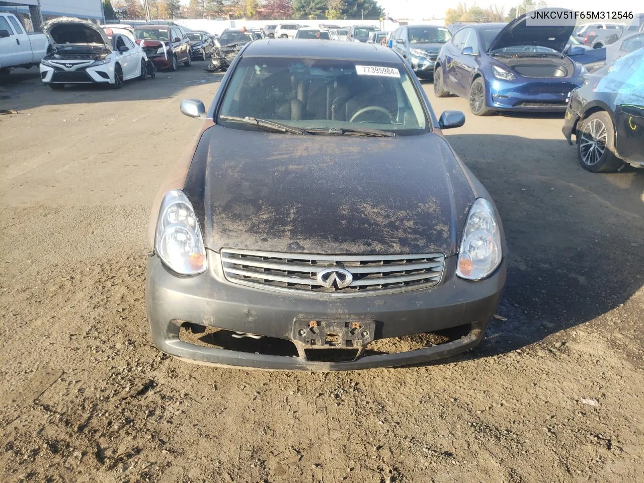 JNKCV51F65M312546 2005 Infiniti G35